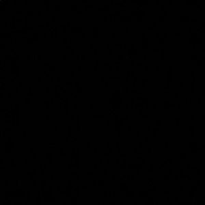 Meet your Posher, Elana